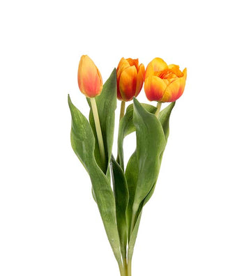 Tulppaani mix 36 cm