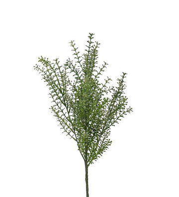 Viherkasvi oksa Taskuruoho 65 cm