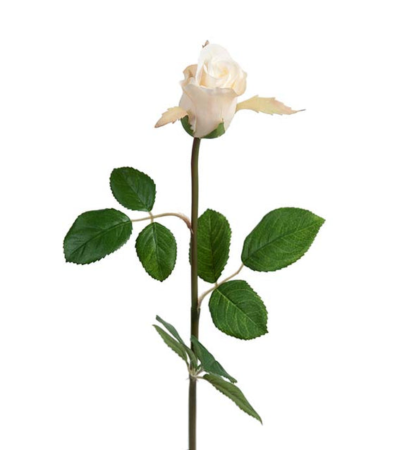 Ruusu 50 cm lunnonvalkoinen