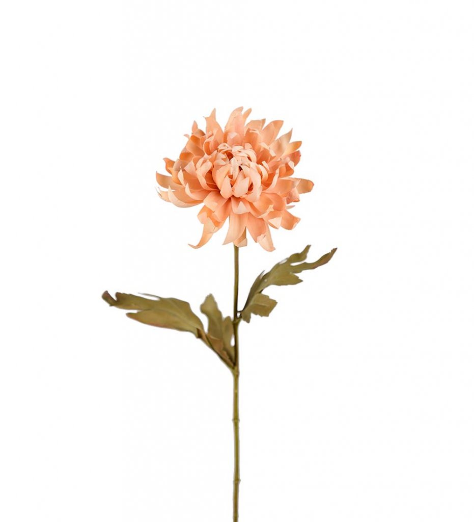 Mr Plant Hortensia tekokukka 60 cm