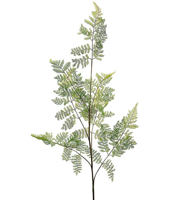 Viherkasvi oksa 140 cm, saniainen