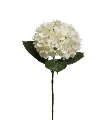 Mr Plant hortensia tekokukka 65 cm