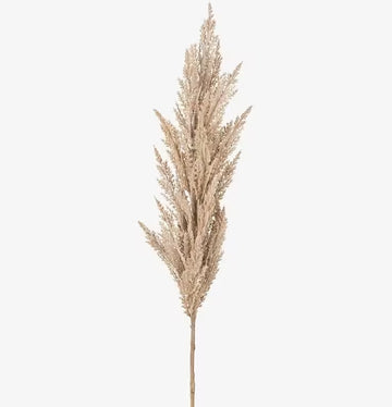 Mr Plant Pampasruoho tekokasvi 120 cm