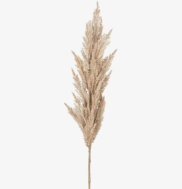 Mr Plant Pampasruoho tekokasvi 120 cm