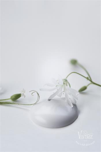 VINTAGE PAINT Natural white 100 ml