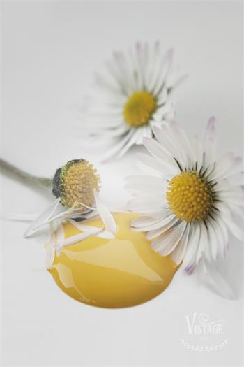 Vintage Paint Warm Yellow 700 ml