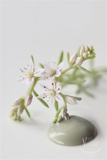 Vintage Paint Moss Green 100 ml
