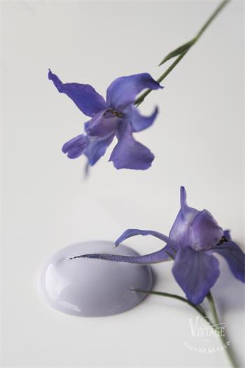 Vintage Paint French Lavender100 ml