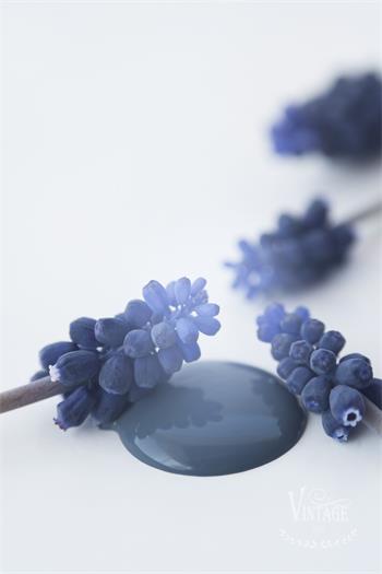 Vintage Paint Royal Blue 100 ml