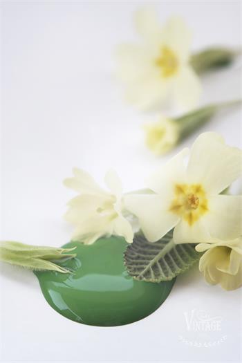 Vintage Paint Bright Green 100 ml