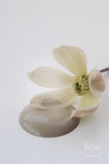 Vintage Paint Old Beige 100 ml