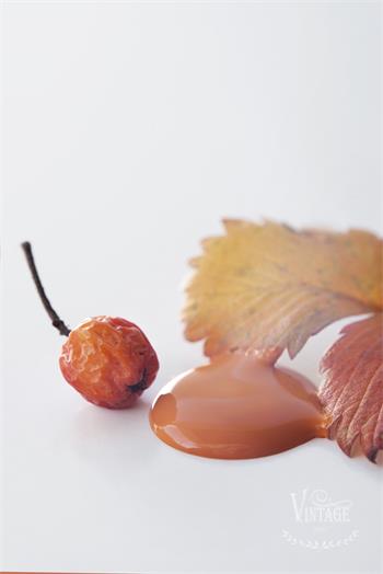 Vintage Paint Rusty Orange 100 ml